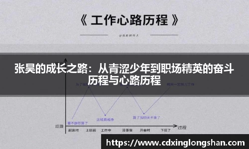 张昊的成长之路：从青涩少年到职场精英的奋斗历程与心路历程