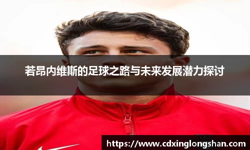 贝博BB