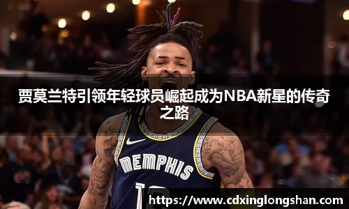 贝博BB